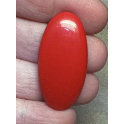 Oval 40x20mm Red Coral Cabochon 19