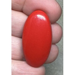 Oval 36x18mm Red Coral Cabochon 20