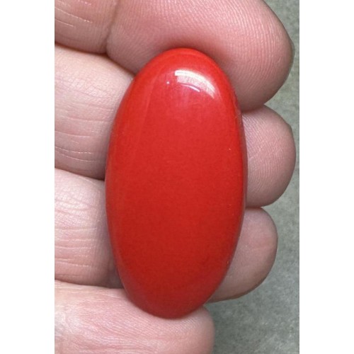 Oval 36x18mm Red Coral Cabochon 20
