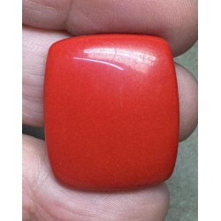 Rectangle 27x23mm Red Coral Cabochon 21