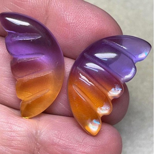 Wing 30x15mm Glass Cabochon Pair 06