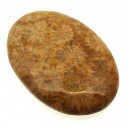 Oval 45x30mm Gold Fossil Coral Cabochon 02