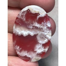 Oval 38x26mm Graveyard Plume Agate Cabochon 04