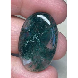Oval 31x20mm Green Moss Agate Cabochon 58