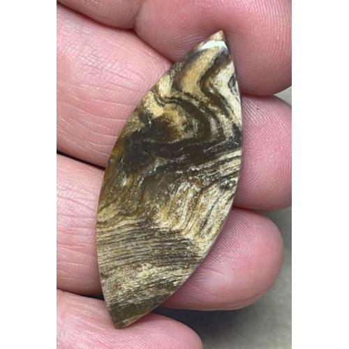 Marquise 43x18mm Indonesian Petrified Wood Cabochon 04