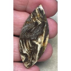 Marquise 49x21mm Indonesian Petrified Wood Cabochon 28