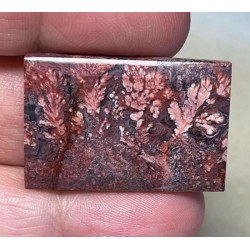 Rectangle 32x22mm Faceted Indonesian Plume Agate Cabochon 52
