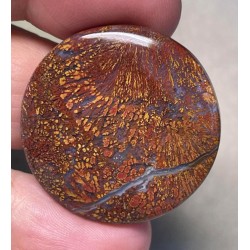 Round 32x32mm Indonesian Plume Agate Cabochon 62