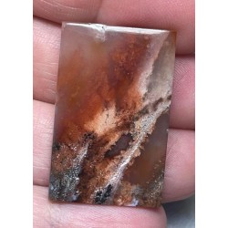 Rectangle 34x21mm Natural Red Plume Agate Cabochon 75