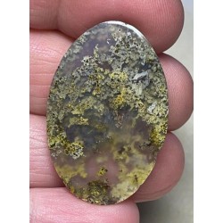 Oval 35x23mm Indonesian Moss Agate Cabochon 26