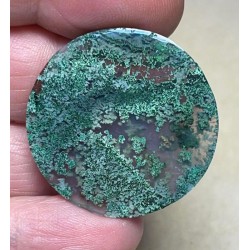 Round 31x31mm Indonesian Moss Agate Cabochon 41