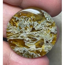 Round 28x28mm Natural Lichen Moss Agate Cabochon 02