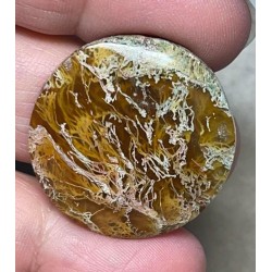 Round 29x29mm Natural Lichen Moss Agate Cabochon 04