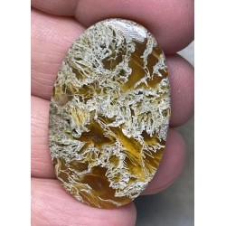 Oval 37x23mm Natural Lichen Moss Agate Cabochon 07