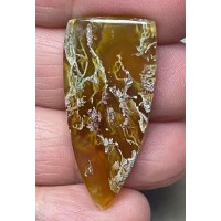Freeform 37x17mm Natural Lichen Moss Agate Cabochon 12