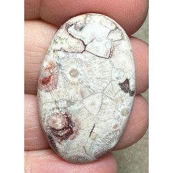 Oval 35x22mm Birds Eye Jasper Cabochon 13