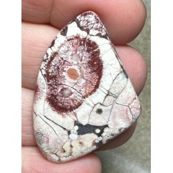 Freeform 40x27mm Birds Eye Jasper Cabochon 18