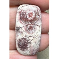 Freeform 34x17mm Birds Eye Jasper Cabochon 21