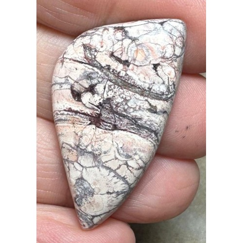 Freeform 40x21mm Birds Eye Jasper Cabochon 23