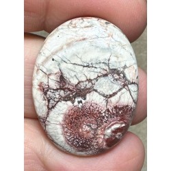 Oval 31x24mm Birds Eye Jasper Cabochon 25