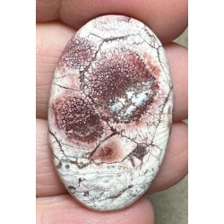 Oval 35x22mm Birds Eye Jasper Cabochon 26