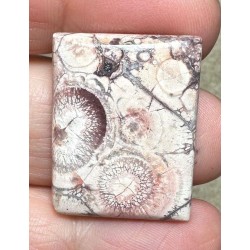 Rectangle 28x21mm Birds Eye Jasper Cabochon 29