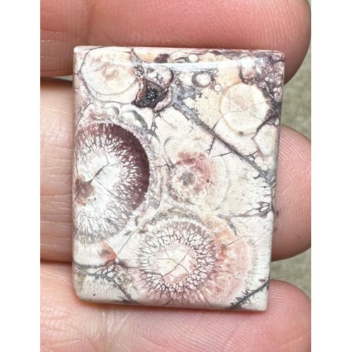 Rectangle 28x21mm Birds Eye Jasper Cabochon 29