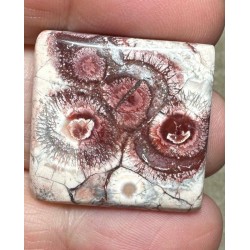 Rectangle 26x25mm Birds Eye Jasper Cabochon 30