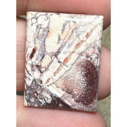 Rectangle 24x19mm Birds Eye Jasper Cabochon 31