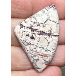 Freeform 40x26mm Birds Eye Jasper Cabochon 33