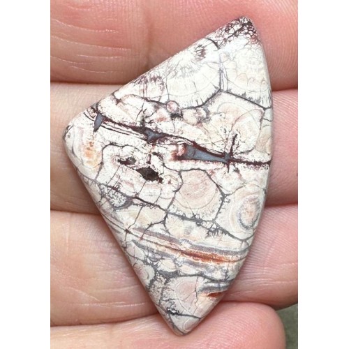 Freeform 40x26mm Birds Eye Jasper Cabochon 33