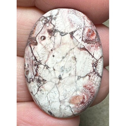 Oval 33x24mm Birds Eye Jasper Cabochon 36