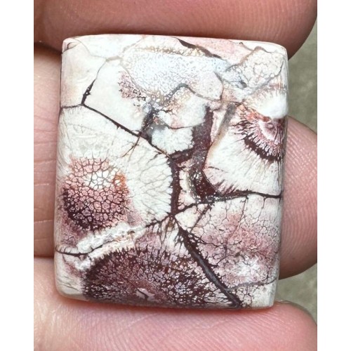 Rectangle 23x19mm Birds Eye Jasper Cabochon 38