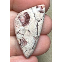 Freeform 36x18mm Birds Eye Jasper Cabochon 42