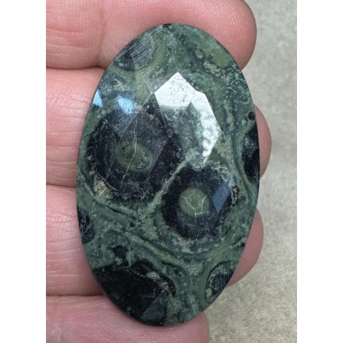 Oval 42x25mm Faceted Kambaba Jasper Cabochon 20