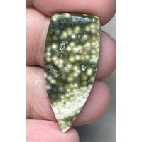 Freeform 36x16mm Ocean Jasper Cabochon 90