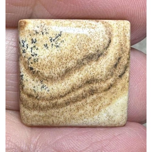 Square 20x20mm Picture Jasper Cabochon 17