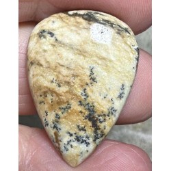 Teardrop 28x20mm Picture Jasper Cabochon 18