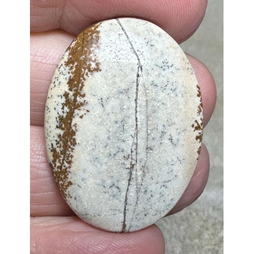 Oval 35x25mm Picture Jasper Cabochon 19