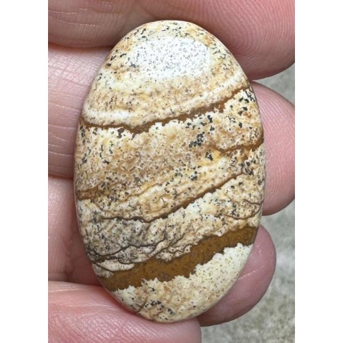 Oval 33x20mm Picture Jasper Cabochon 20