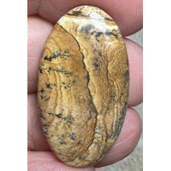 Oval 33x18mm Picture Jasper Cabochon 21