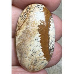 Oval 33x19mm Picture Jasper Cabochon 24