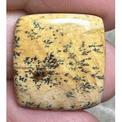 Rectangle 21x20mm Picture Jasper Cabochon 27