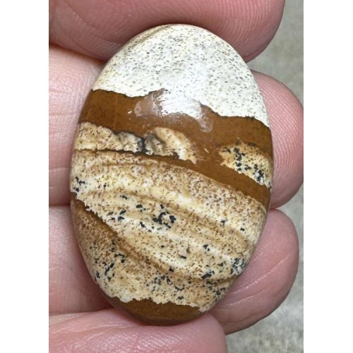 Oval 30x20mm Picture Jasper Cabochon 28