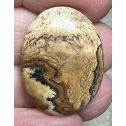 Oval 28x21mm Picture Jasper Cabochon 30