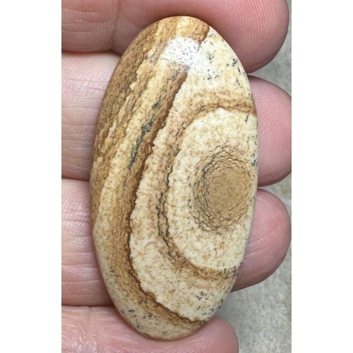 Oval 45x22mm Picture Jasper Cabochon 31