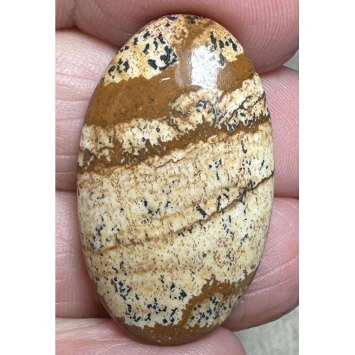 Oval 32x19mm Picture Jasper Cabochon 34