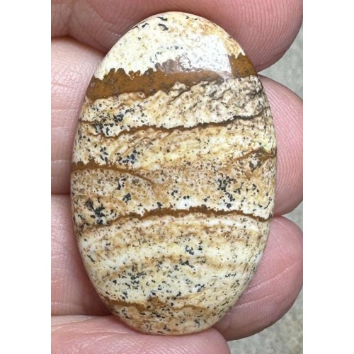 Oval 32x21mm Picture Jasper Cabochon 35