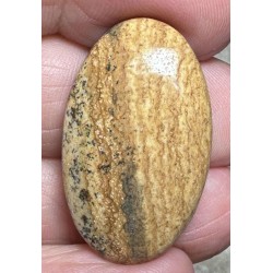 Oval 31x19mm Picture Jasper Cabochon 36