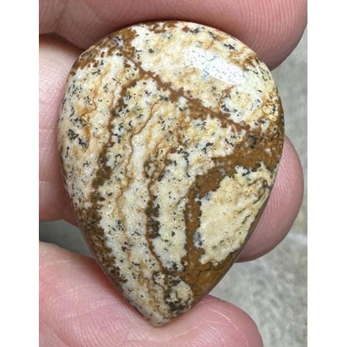 Teardrop 29x21mm Picture Jasper Cabochon 38